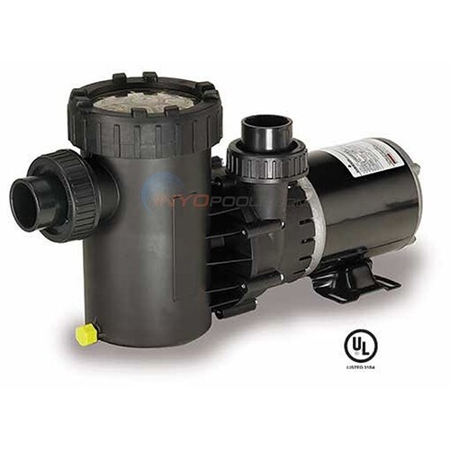 Speck E71 1.5 HP Single Speed Above Ground Pool Pump (E71-III) - AG196-1150T-VST