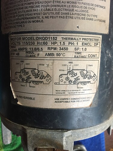 Hayward pump motor