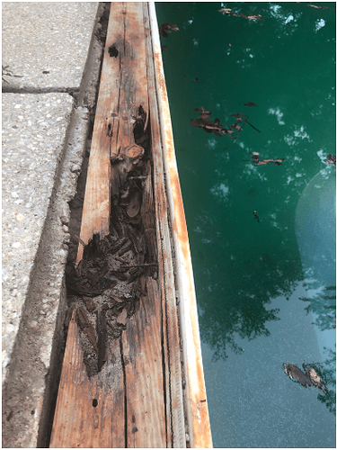 Pool Wood Rot