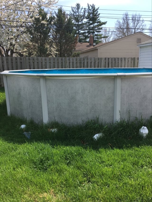 Above Ground Pool Identification? - Pool Repair & Troubleshooting ...