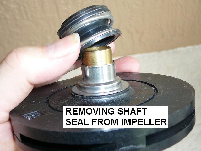 Pool Pump Shaft Seal Installation