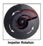 pool motor impeller rotation